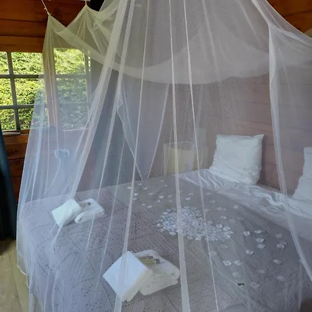 Buitenplaats * Медемблик