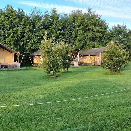 Роскошный шатер Buitenplaats